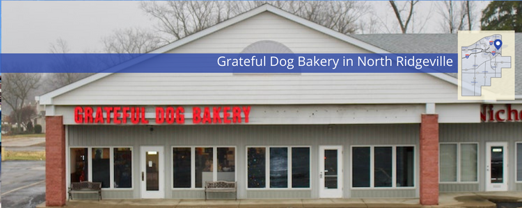 Pet Stores LorainCounty